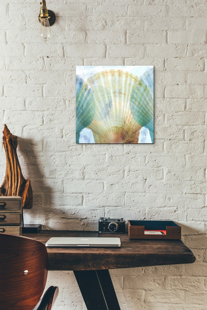 "Luminous Seashells 2" Giclee Canvas Wall Art, 12"x12"
