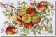 Ceramic Tile Mural Backsplash "Apples" by Marcia Matcham, 18"x12"