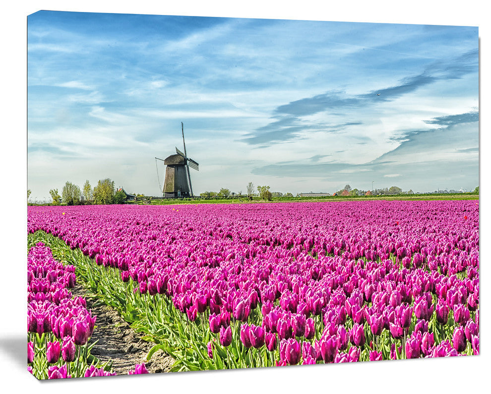 Traditional Holland Countryside, Landscape Canvas Art Print, 40"x30"