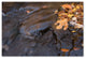 Jason Shaffer 'Peasley Hollow' Canvas Art, 47x30