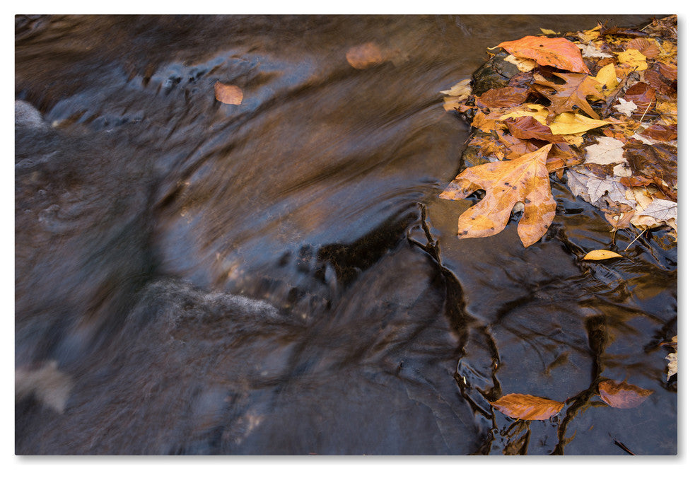 Jason Shaffer 'Peasley Hollow' Canvas Art, 47x30