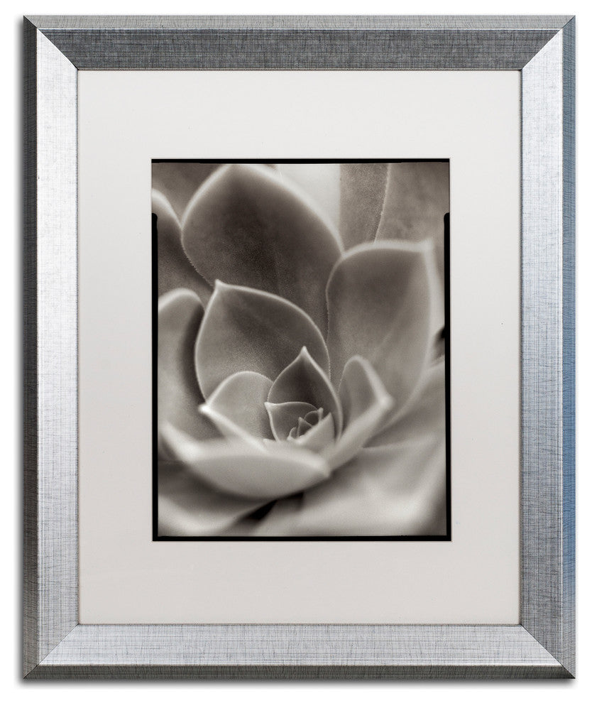 Alan Blaustein 'Florison 25' Art, Silver Frame, White Mat, 16x20
