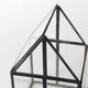 Sikes, Small, 6Lx6Wx10H Glass Terrarium