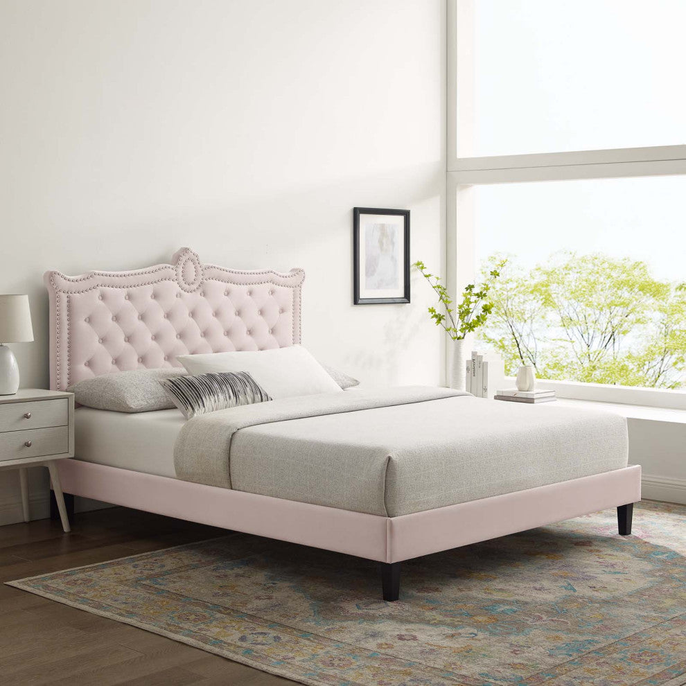 Platform Bed Frame, Nailhead, Queen Size, Pink, Velvet, Modern, Guest Suite