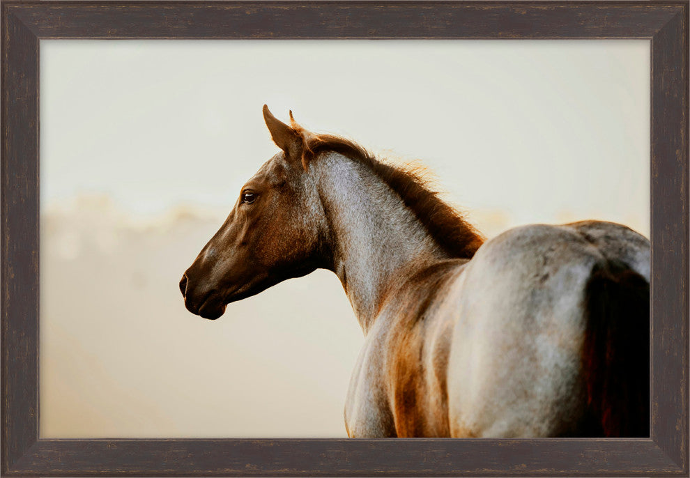 Equestrian Gaze Small