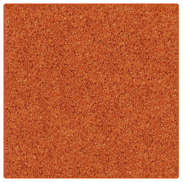 Kids Crazy Carpet Home School Area Rugs, People Pet Friendly, 12 Colors, Tropica