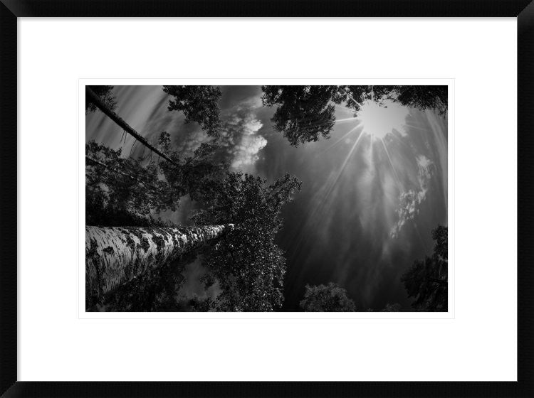 "Dreaming Before The Thunder" Framed Digital Print by Mikael Jigmo, 24"x18"