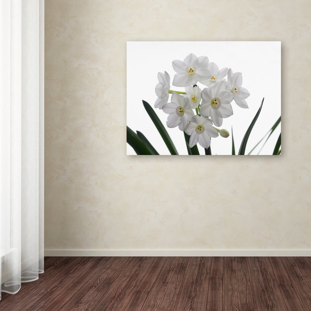'Paper White Bouquet' Canvas Art by Kurt Shaffer