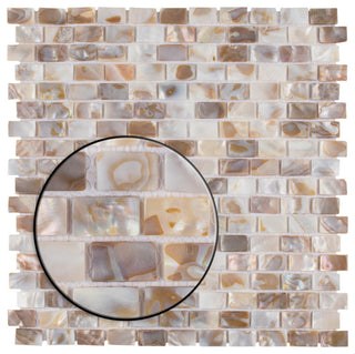 Conchella Subway Natural Natural Shell Wall Tile