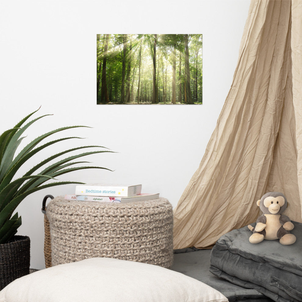 Sun Rays Through Treetops Landscape Photo Unframed Wall Art Print, 12" X 18"