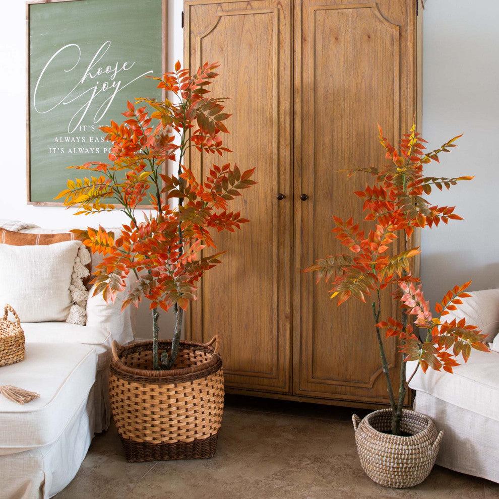 Lifestyle image showing the product in a home setting with multiple trees.