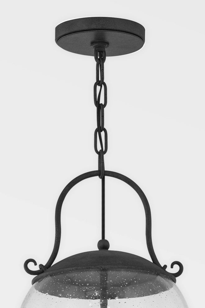 Napa County by Mark D. Sikes 4 Light Exterior Pendant Large French Iron