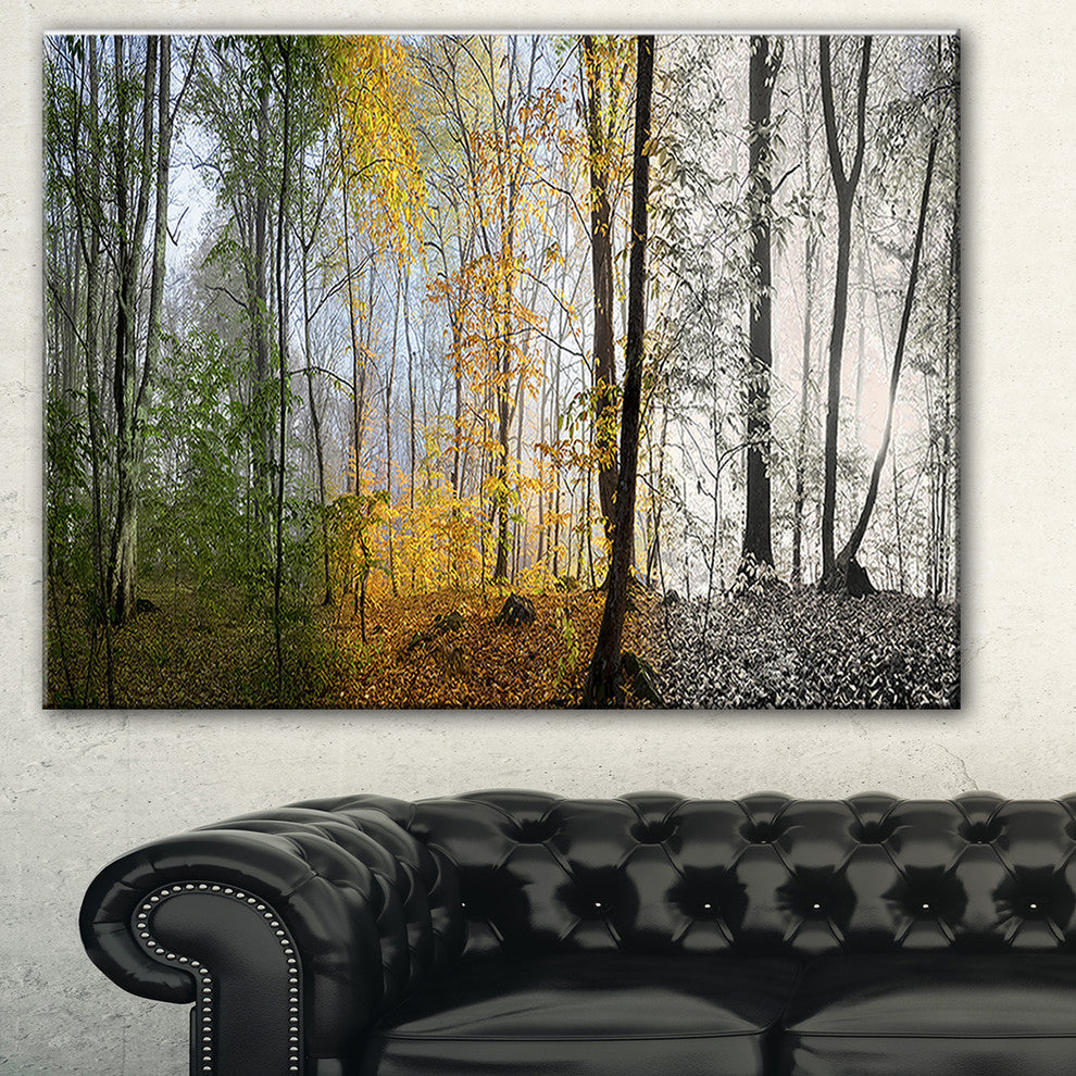 "Forest in Early Morning" Canvas Print