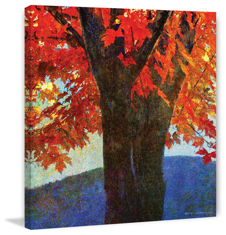 "Brilliant Fall Maple I" Painting Print on Canvas by Chris Vest