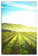 Wine Fields 20x30 Canvas