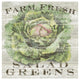 "Farm Fresh Greens" Digital Paper Print by Sue Schlabach, 42"x42"