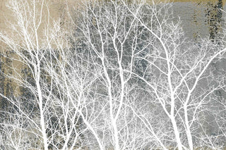 "Frosty White Branches" Painting Print on Wrapped Canvas, 45"x30"