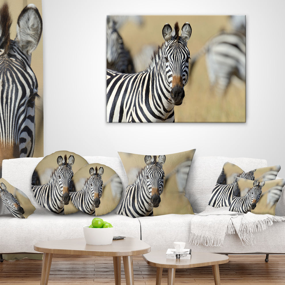African Zebra Close Up View African Throw Pillow, 18"x18"