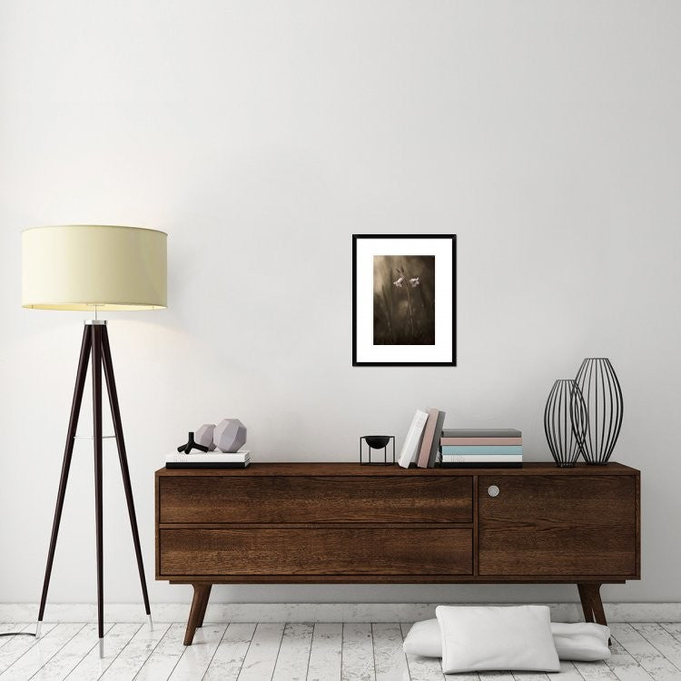 "A Small Flower On The Ground" Framed Digital Print by Allan Wallberg, 19x24"