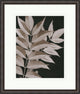 Taupe Foliage 2, Giclee Reproduction Artwork