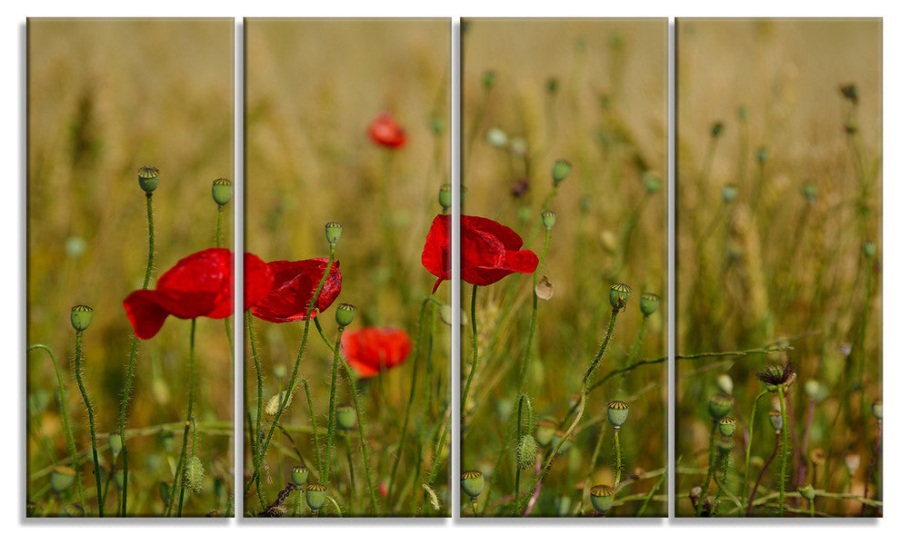 Red Poppy Flower Field Background, Flower Canvas Wall Art, 48"x28", 4 Panels