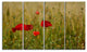 Red Poppy Flower Field Background, Flower Canvas Wall Art, 48"x28", 4 Panels