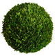 Boxwood Ball 22"