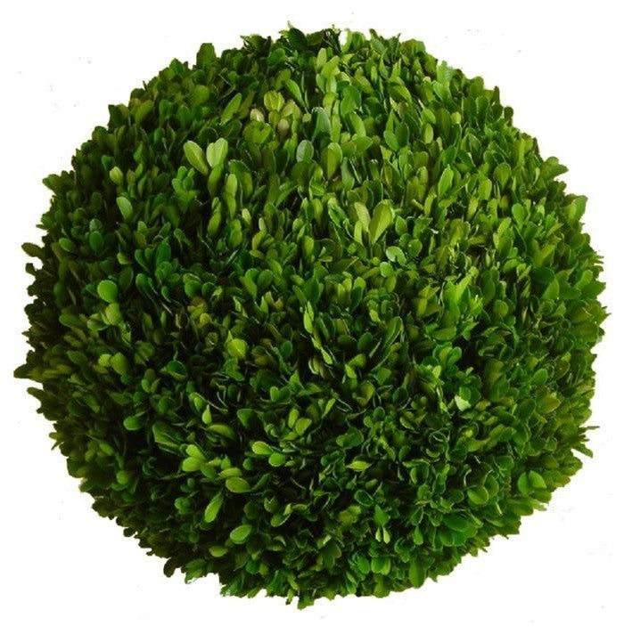 Boxwood Ball 22"