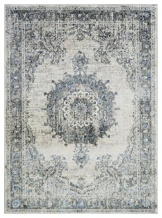 Traditional Accent Rug, Glacier, 9'8"x7'5"