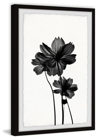 "Reflective Petals" Framed Painting Print, 30x45