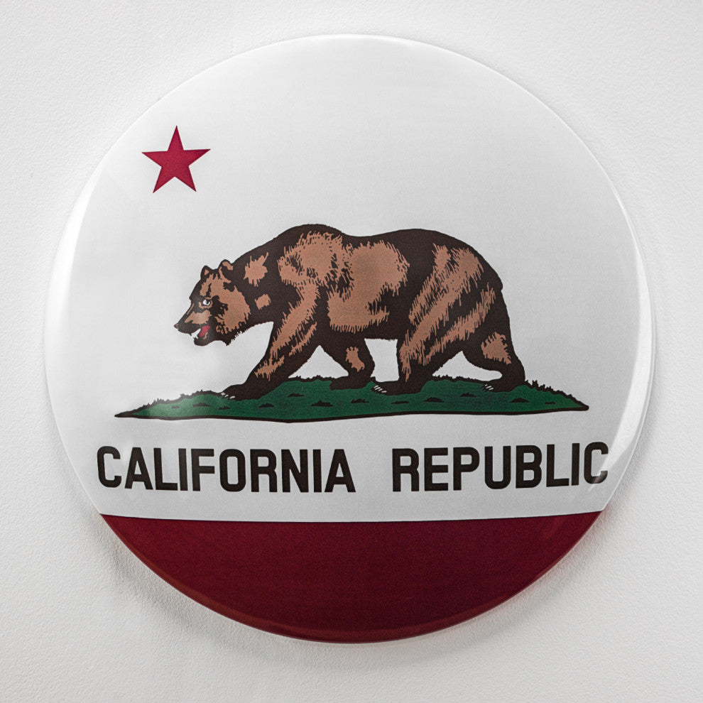 California State Flag Dome Shaped Metal Wall Decor