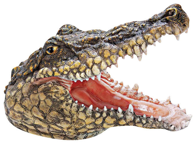 Chomper Crocodile Head Statue