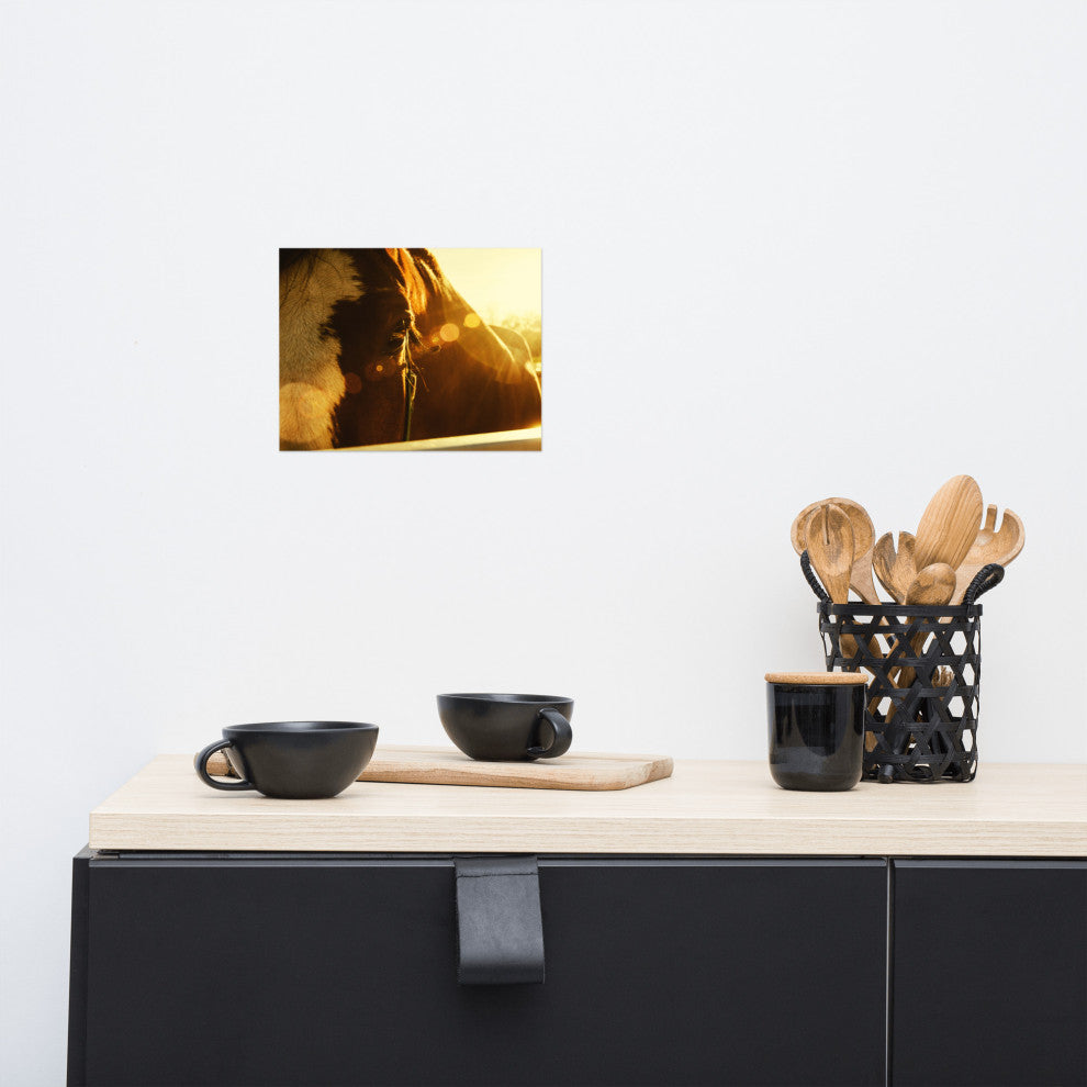 Evening Flare Horse Photograph Unframed Wall Art Print, 8" X 10"