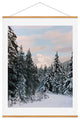 Hillary Murphy Mt Hood National Forest Art Print