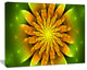 Bright Yellow Fractal Flower on Green, Floral Canvas Art Print, 60"x28"