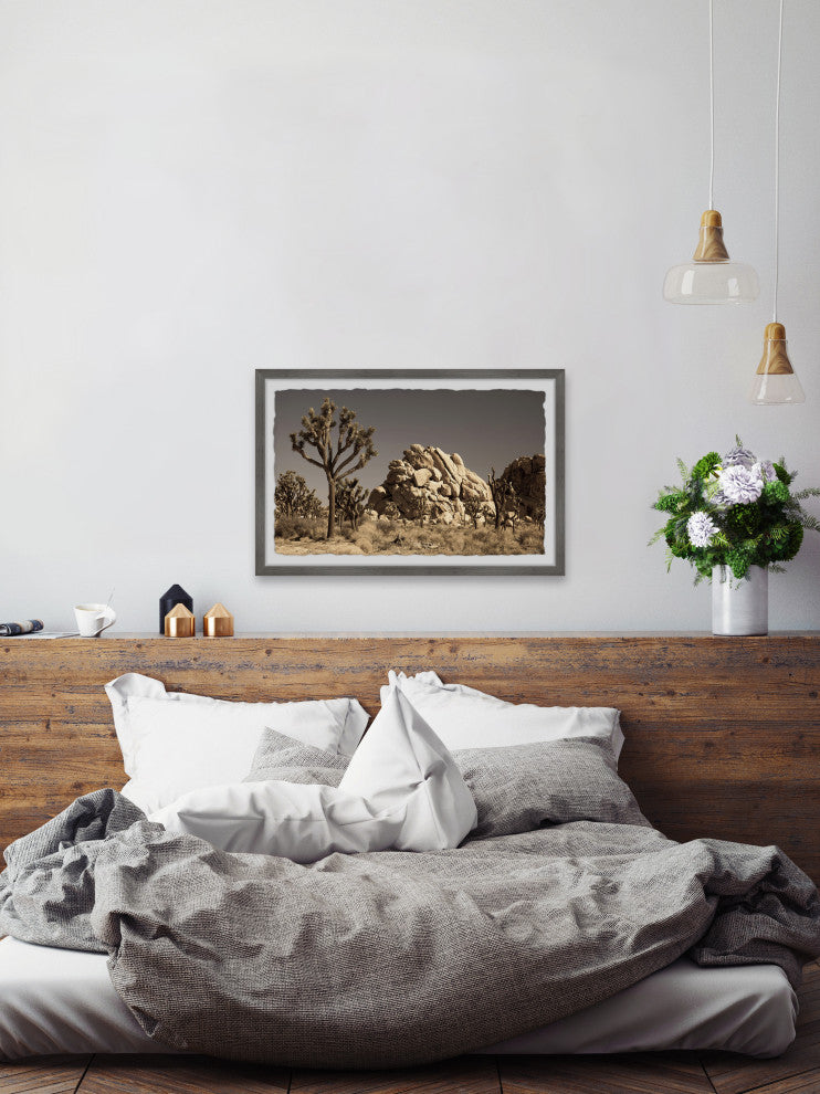 "Cactus and Rocks" Framed Painting Print, 30x20