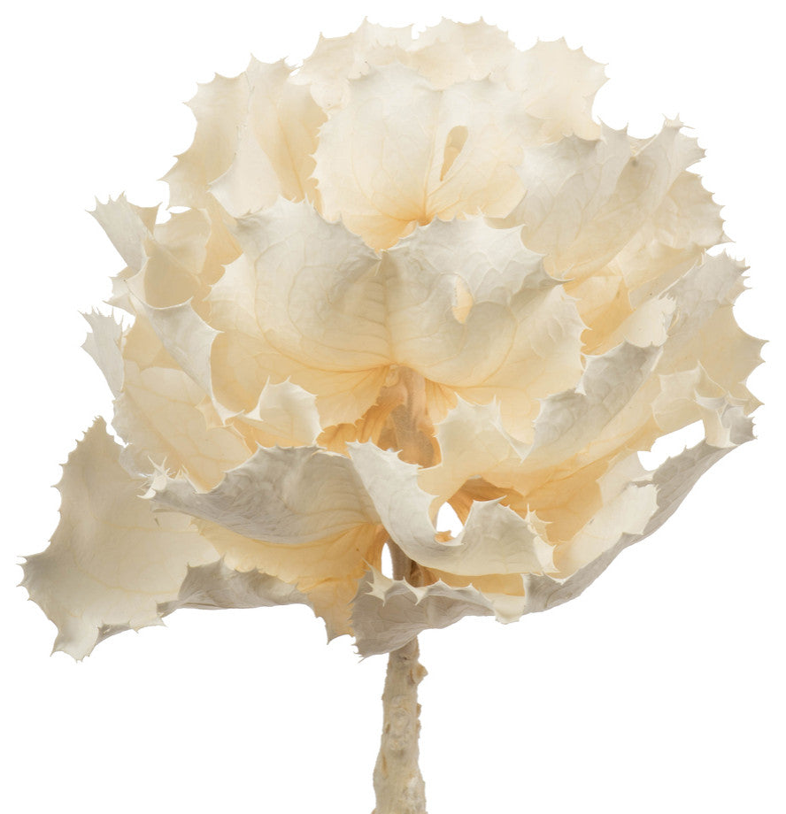 Vickerman 8" Queen Flower Stem, Dried