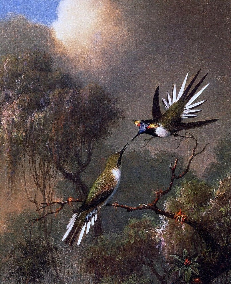Martin Johnson Heade Two Sun Gems on a Branch, 20"x25" Gallery Wrapped Canvas