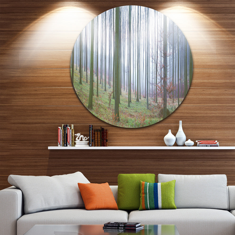 Autumn Tree Trunks Panorama, Forest Round Metal Wall Art, 23"