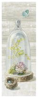 "Succulent Garden III Panel" Digital Paper Print by Danhui Nai, 15"x38"