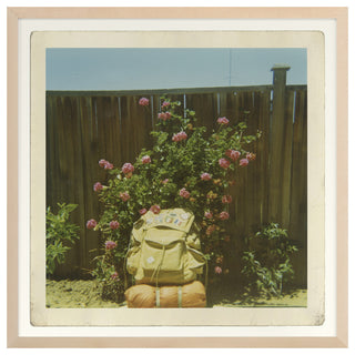 Backpacker Fine Art Print, Maple, 30"x30"