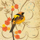 "Hooded Oriole III" Painting Print on Canvas by Evelia