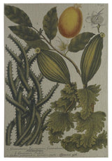 Folio II Gallery, 29 X 40