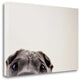 "Peleis Eyes" By Susan Sabo, Giclee Print on Gallery Wrap Canvas, Ready to Hang