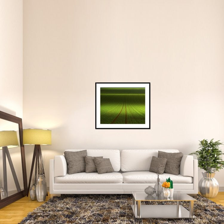 "November Green" Framed Digital Print by Franz Schumacher, 43x36"