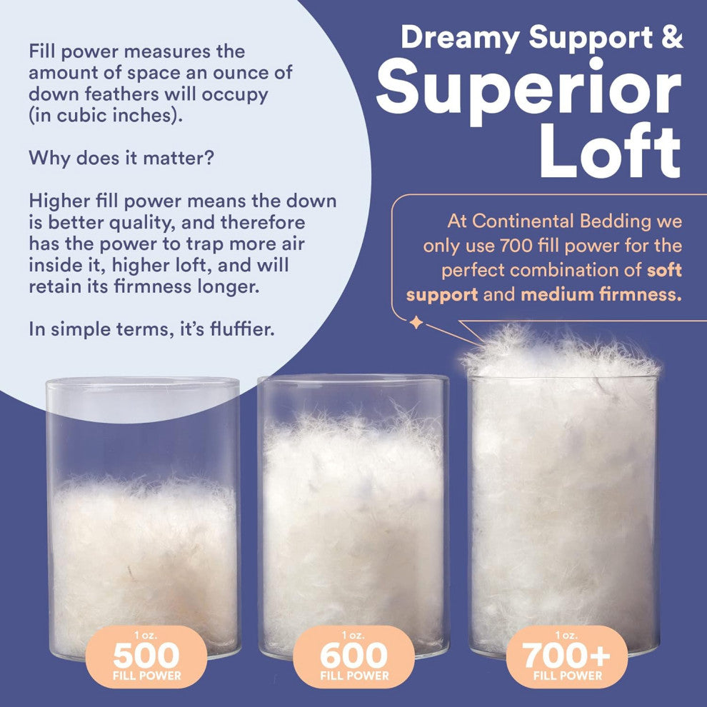 Superior 700 Fill Power -  100% Hungarian White Goose Down Pillow., Standard (Set of 2), Soft