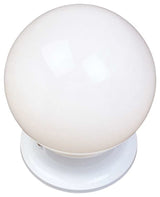 Maxim Lighting 1-Light Flush Mount in White - 5889WTWT