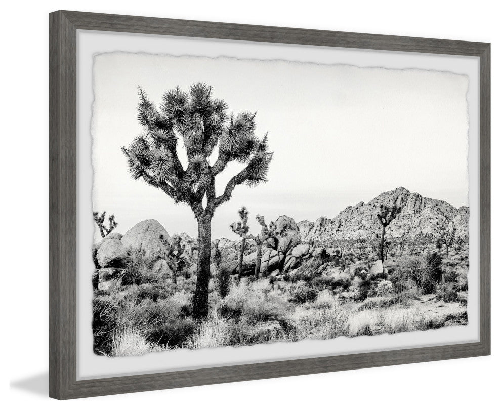 "Joshua Tree National Park" Framed Painting Print, 18"x12"