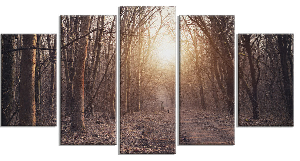 Forest Pathway View at Sunset, Modern Forest Canvas Art, 60"x32", 5 Panels