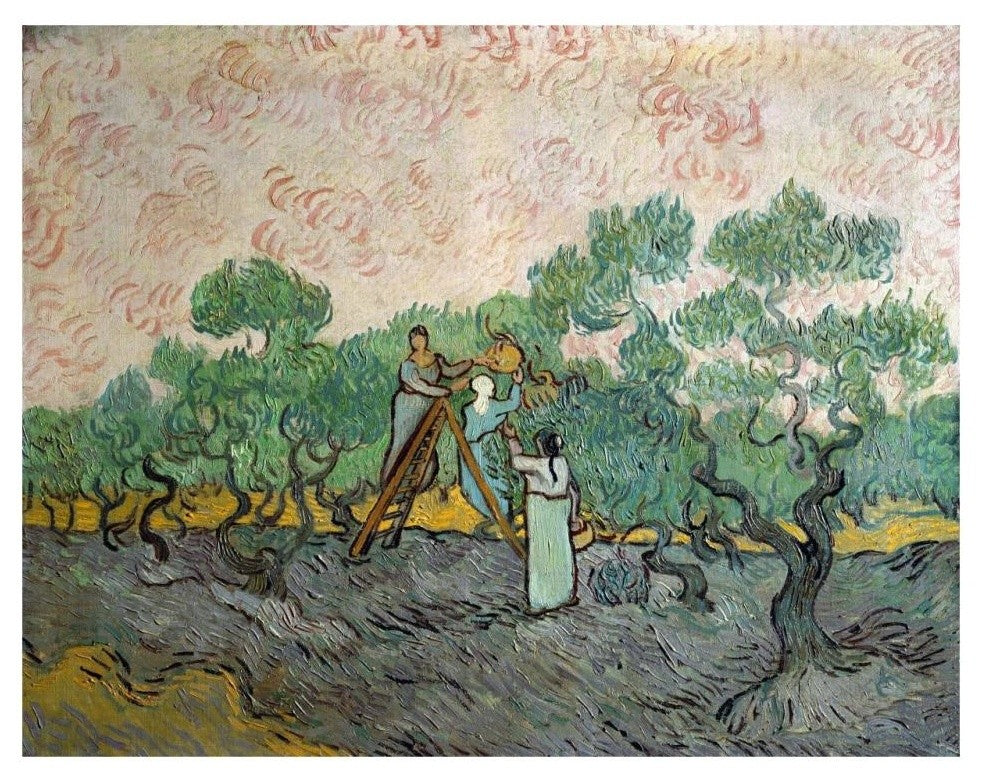 "Women Picking Olives" Digital Paper Print by Vincent Van Gogh, 32"x25"